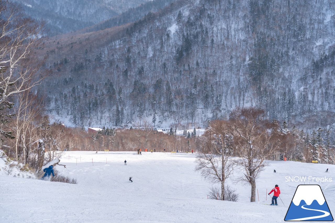 札幌国際スキー場｜積雪100cm超え！名物の急斜面『ダウンヒルコース』を含む、全てのコースが気持ち良～く滑走可能です(^^)/